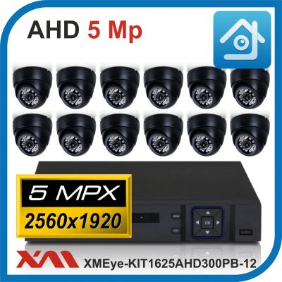 Комплект видеонаблюдения на 12 камер XMEye-KIT1625AHD300PB-12.