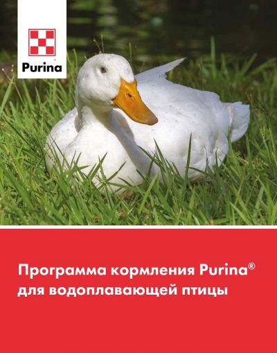 Комбикорм &quot;СТАРТЕР&quot; для водоплавающей птицы Purina (4151)