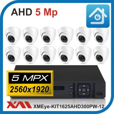 Комплект видеонаблюдения на 12 камер XMEye-KIT1625AHD300PW-12.