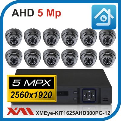 Комплект видеонаблюдения на 12 камер XMEye-KIT1625AHD300PG-12.