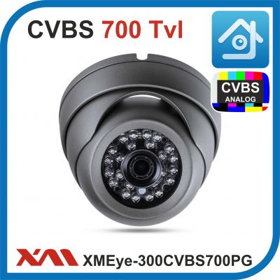 XMEye-300CVBS700PG-2,8.(Пластик/Серая). 700 ТВл. Камера видеонаблюдения.