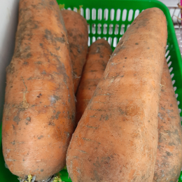 Морковь вес.1кг