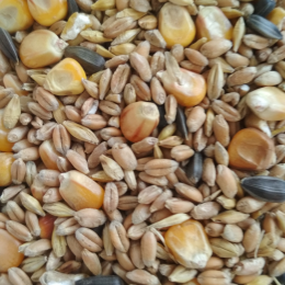 Зерно/смесь (пшеница, ячмень, кукуруза дробл, семечка ) (40 кг)