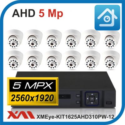 Комплект видеонаблюдения на 12 камер XMEye-KIT1625AHD310PW-12.