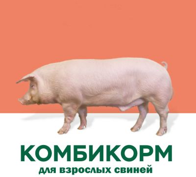 К/корм свиной СКК-55 (СКХ) 25 кг